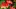 Video Platzhalter Video Platzhalter