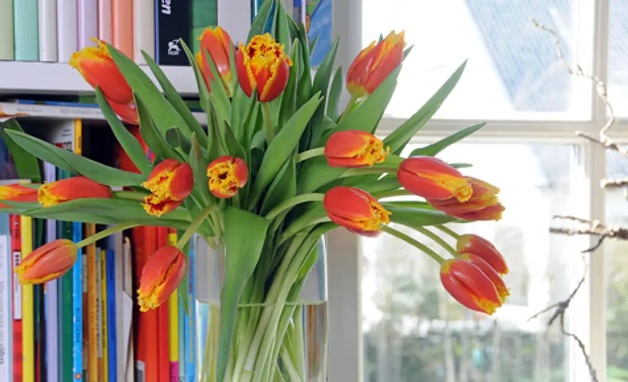 Schnittblumen