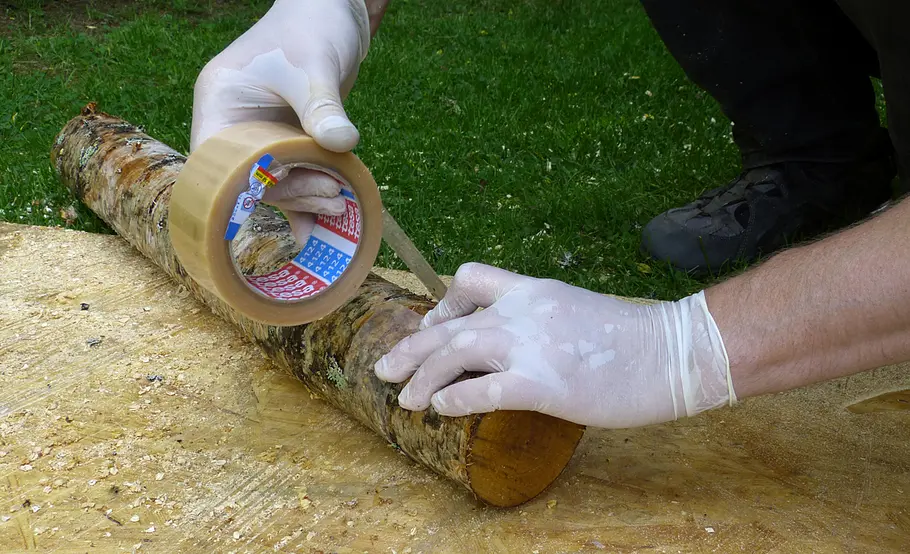 Pilzzucht auf Holz