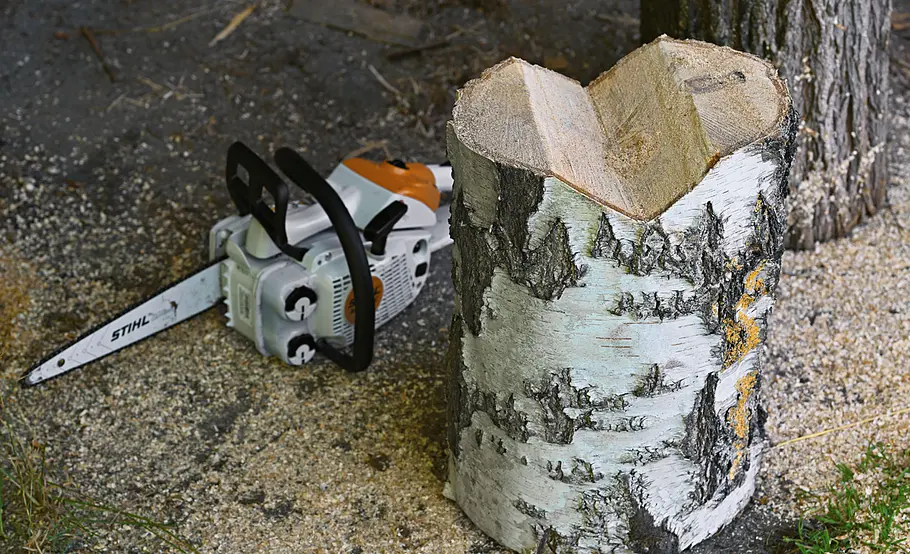 Kreative Gartendeko: Holztiere selber machen