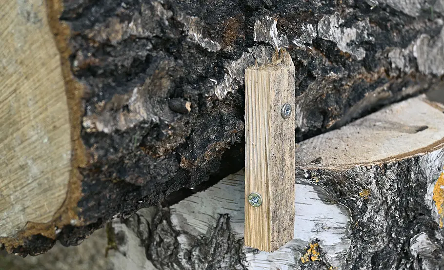 Kreative Gartendeko: Holztiere selber machen