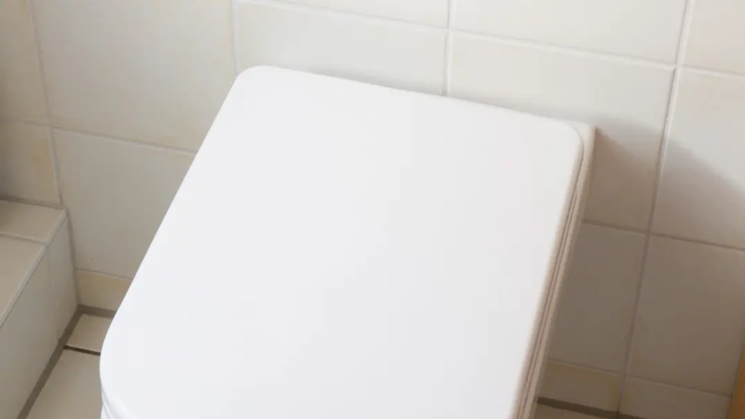 WC-Sitz mit Absenkautomatik - Foto: sidm / CK