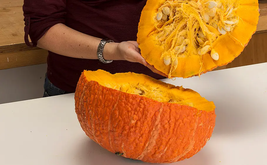 Kürbisse für Halloween dekorieren