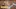Video Platzhalter