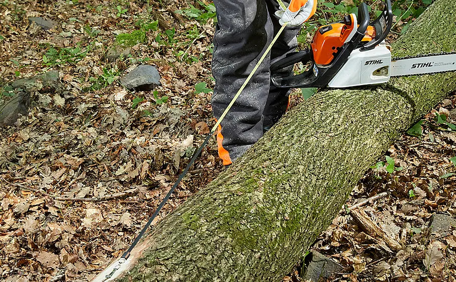 Baum fällen