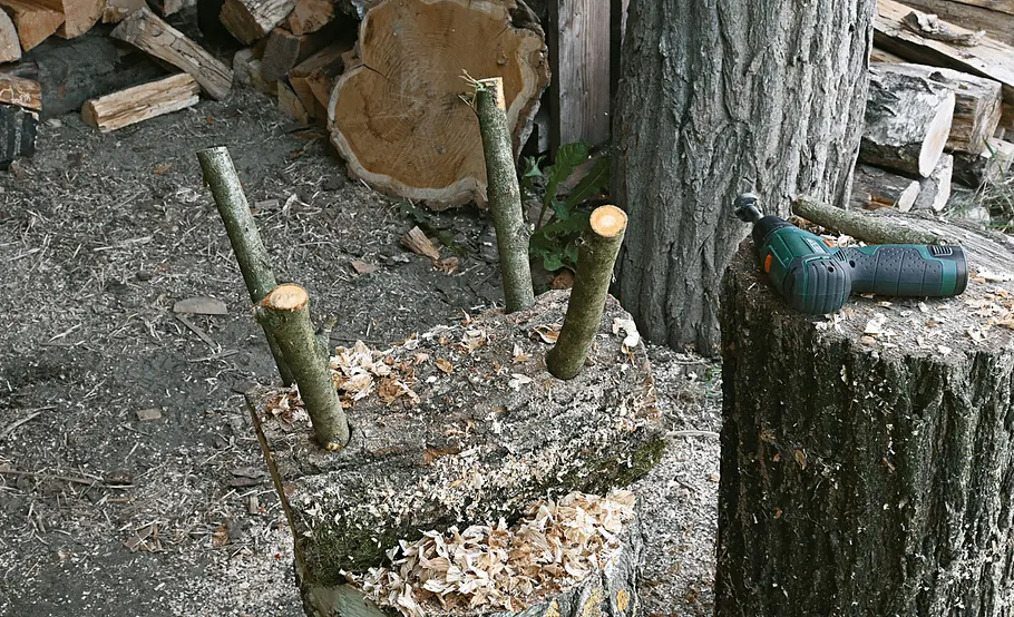 Kreative Gartendeko: Holztiere selber machen