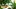 Video Platzhalter Video Platzhalter
