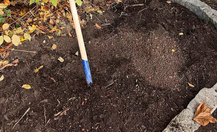 Beet im Schatten anlegen