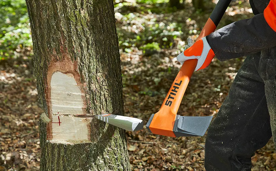 Baum fällen