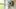 Video Platzhalter Video Platzhalter