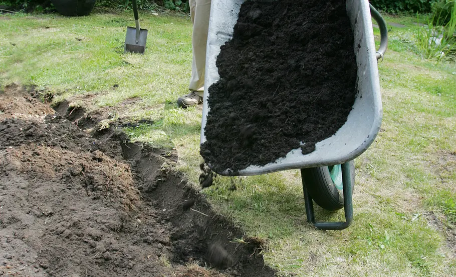 Staudenbeet planen und anlegen