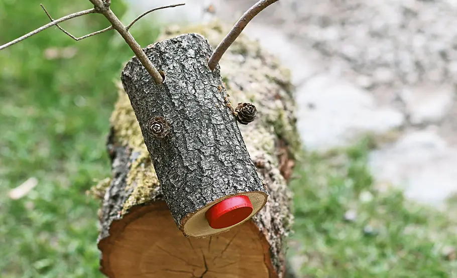 Kreative Gartendeko: Holztiere selber machen