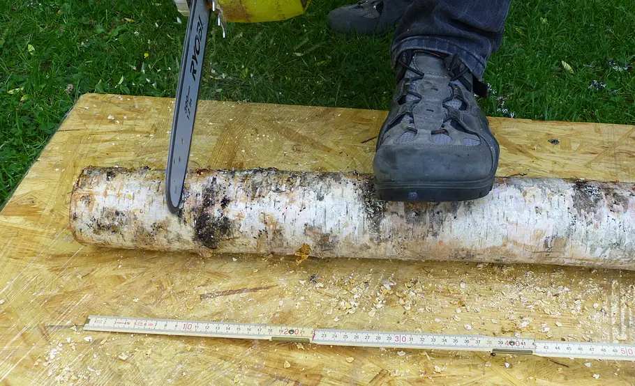 Pilzzucht auf Holz