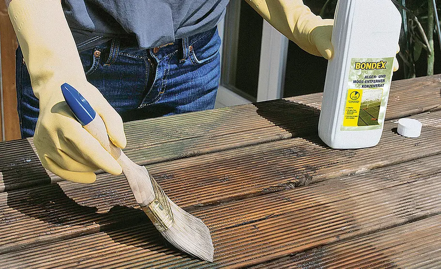 Grünbelag entfernen von Holz