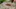 Video Platzhalter Video Platzhalter