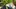 Video Platzhalter Video Platzhalter