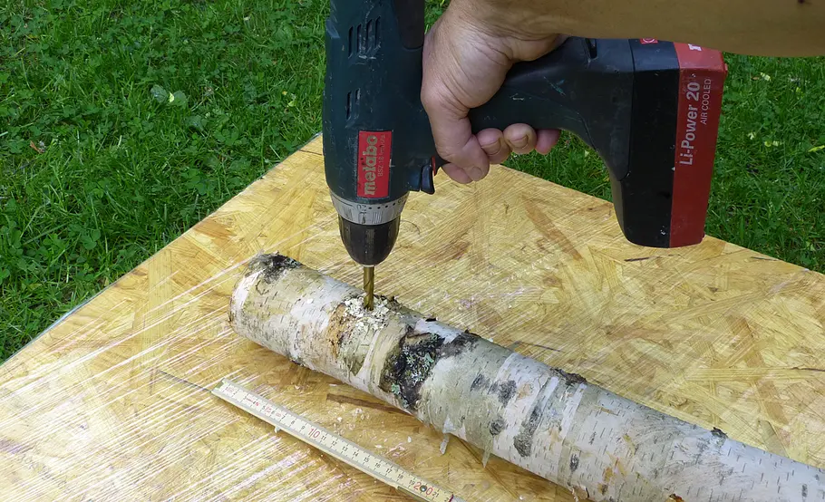 Pilzzucht auf Holz