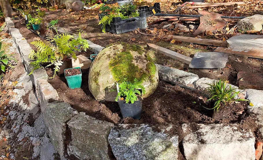 Beet im Schatten anlegen