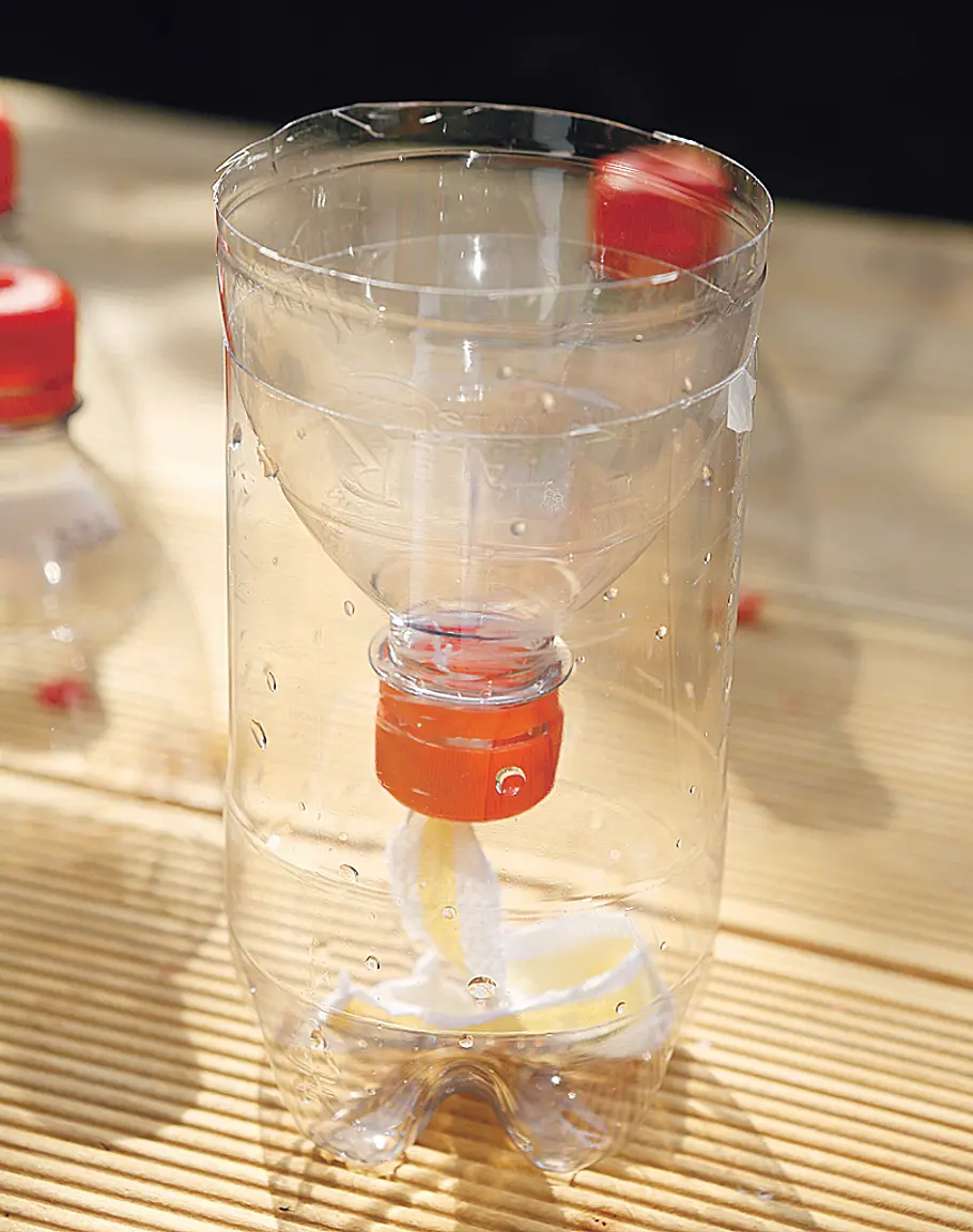Lifehack: Selbstbewässernden Kräutertopf basteln