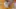 Video Platzhalter Video Platzhalter