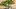 Video Platzhalter