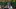 Video Platzhalter Video Platzhalter