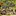 Video Platzhalter Video Platzhalter