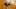Video Platzhalter Video Platzhalter