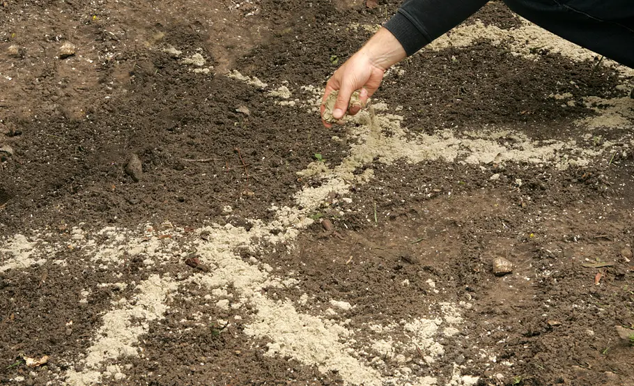 Staudenbeet planen und anlegen
