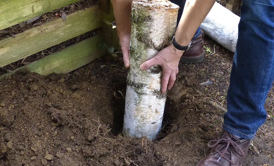 Pilzzucht auf Holz