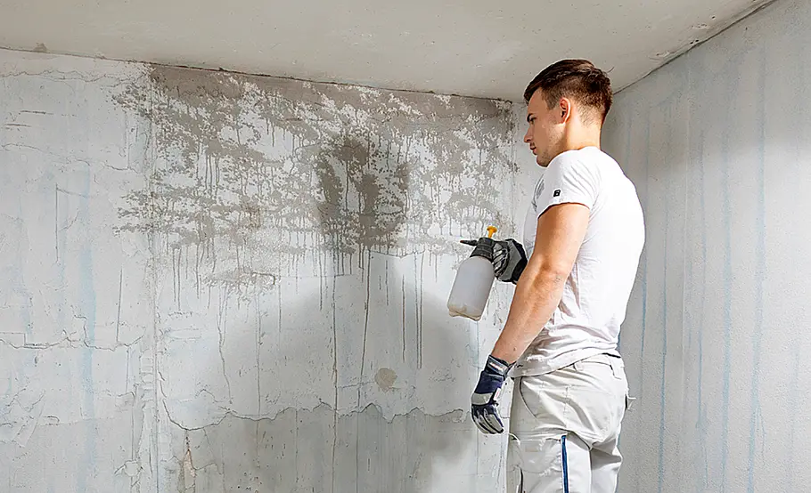 So können Sie die Kellerwand verputzen