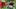 Video Platzhalter Video Platzhalter