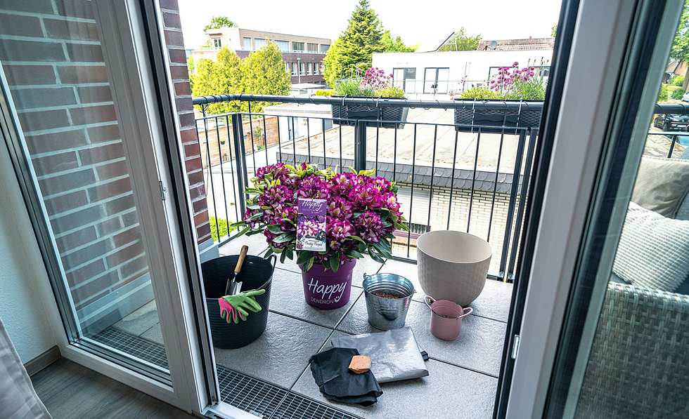 Rhododendron im Kbel | Selbst