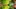 Video Platzhalter Video Platzhalter