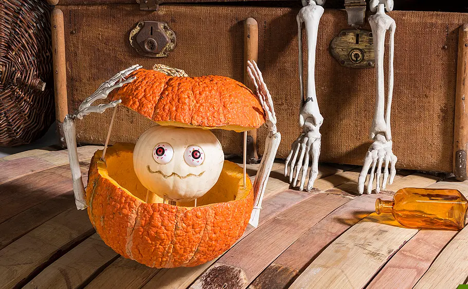 Kürbisse für Halloween dekorieren