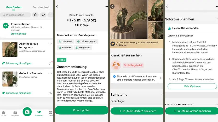 Screenshots aus der Pflanzen-App PictureThis
