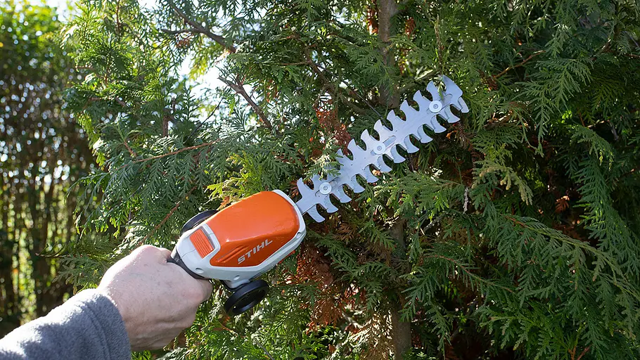 Akku-Grasscheren-Test: Strauchschere Eine Hand hält eine orange-weiße akkubetriebene Strauchschere, die an einer grünen Hecke angesetzt wird.