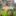 Video Platzhalter Video Platzhalter