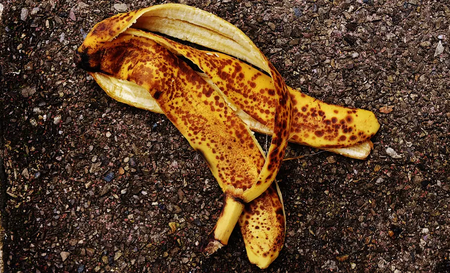 Bananenschalen fördern das Wachstum Bananenschalen fördern das Wachstum