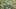 Video Platzhalter Video Platzhalter