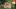 Video Platzhalter Video Platzhalter