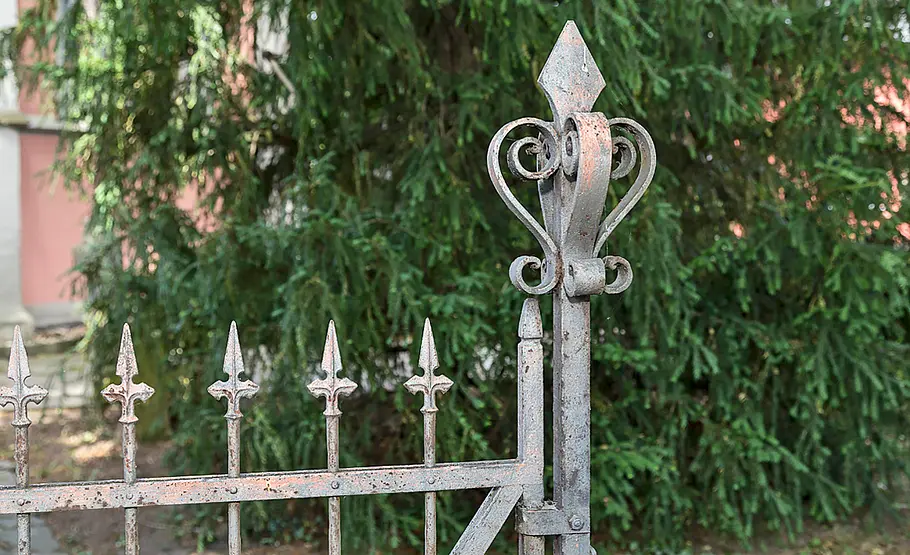 Rostentfernung
