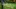 Video Platzhalter Video Platzhalter