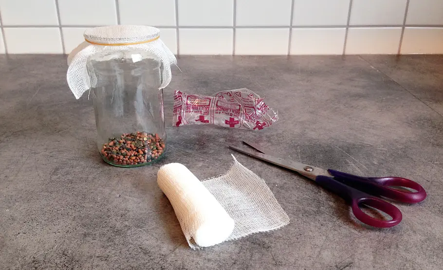 Sprossenglas selber machen