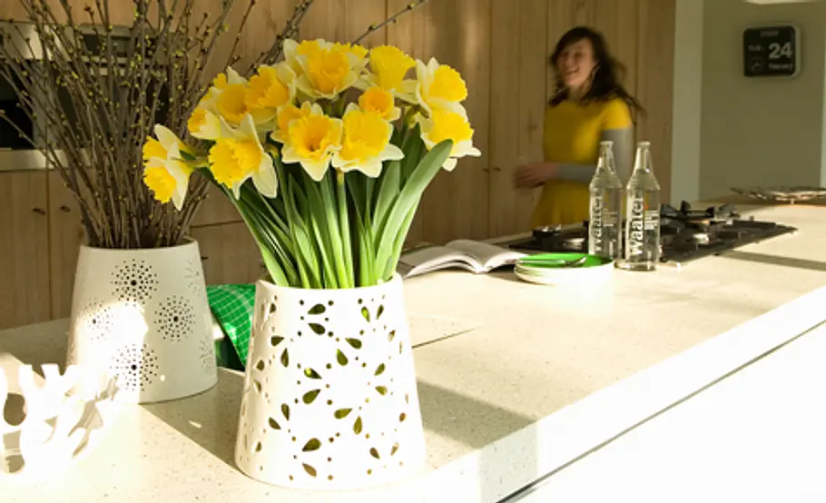 Schnittblumen