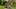 Video Platzhalter Video Platzhalter