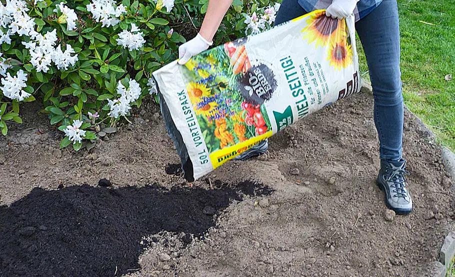 Kartoffeln: Beet vorbereiten