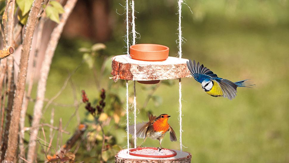 Baumscheiben-Hängeampel für Vogelfutter - Foto: sidm / DW; Fotolia