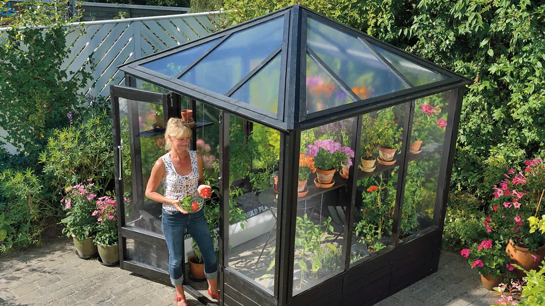 Gewächshaus aus Glas selber bauen - Foto: sidm / LD Gewächshaus aus Glas selber bauen - Foto: sidm / LD