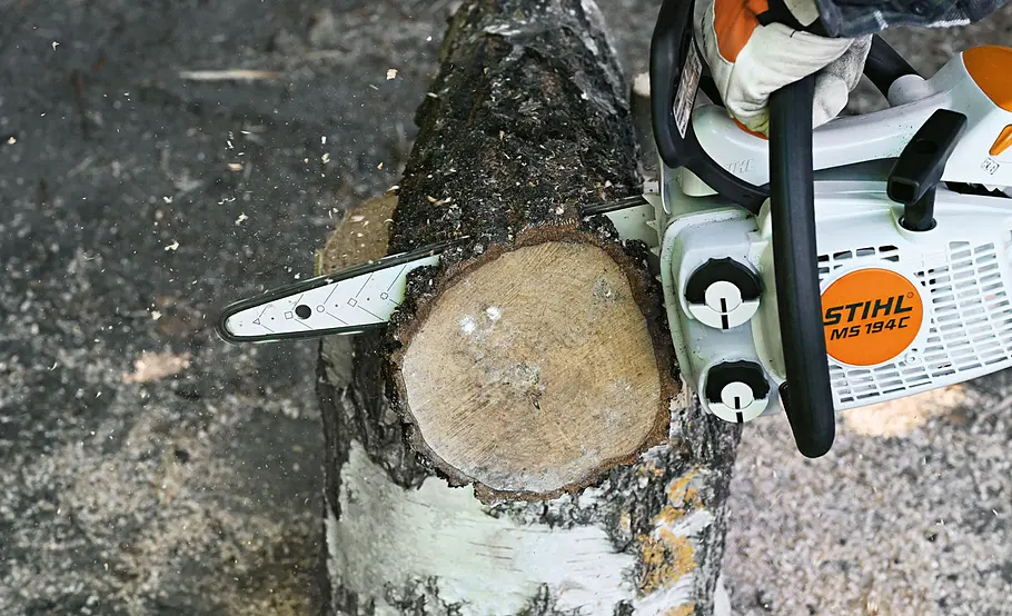 Kreative Gartendeko: Holztiere selber machen